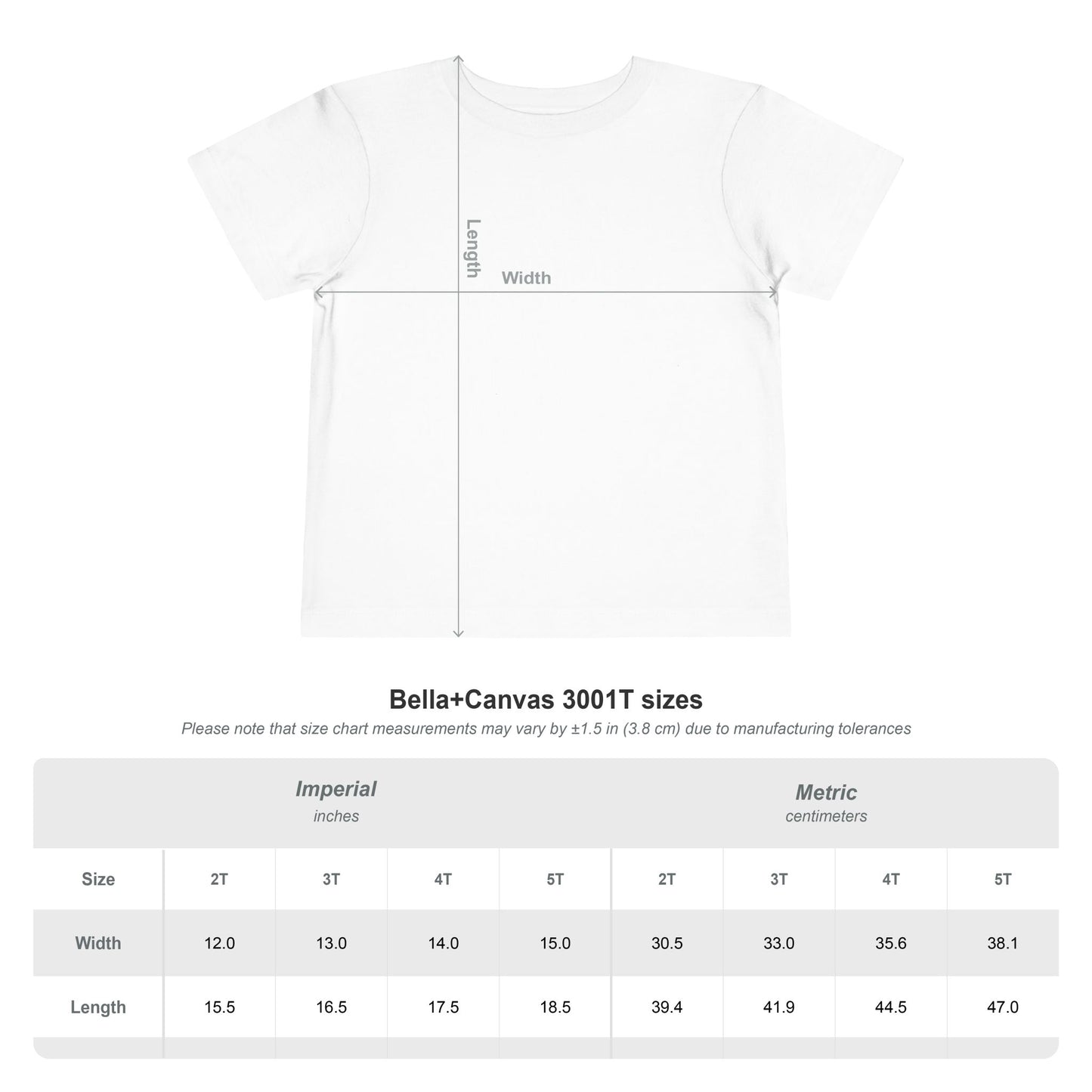 Toddler Motivational T-Shirt | Inspirational Kids Graphic Tee | Soft Cotton Toddler Shirt | Positive Mindset Children's Clothing | Everyday Comfort Tee